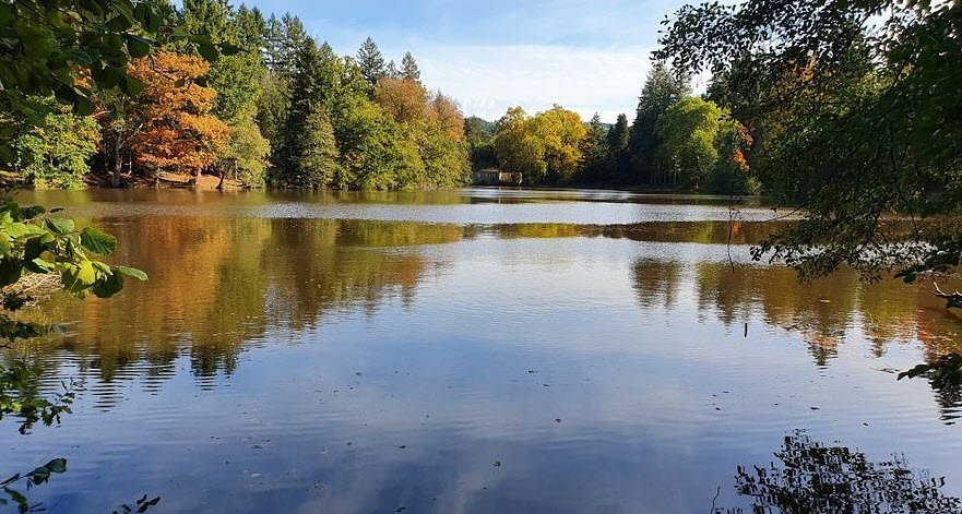 Arboretum de Pézanin, Dompierre-les-Ormes, France, France